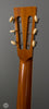 Waterloo by Collings - WL-S Deluxe - T Bar - Tuners