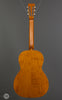 Waterloo by Collings - WL-S L T-Bar Sunburst - Back