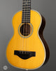 Martin Tiple - 1964 T-28 - Brazilian Rosewood - Front Angle