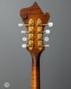 Davis Mandolins - 2003 Custom F-Style - USED - Back Headstock 
