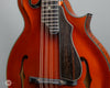 Poe Mandolins - 2007 Elite H5 Mandola - Used - Details