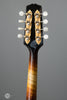 Ellis Mandolins - 2022 A5 Special - Used - Neck and Tuners