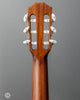 Taylor Acoustic Guitars - 312ce-N - Back Headstock