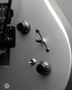 Tom Anderson Guitars - Direwolf - Inca Silver - Controls 