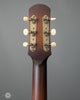 Iris Guitars - DF Tobacco Burst - Ivoroid Binding - Tuners