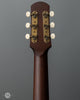 Iris Guitars - DF - Tobacco Burst - Ivoroid Binding - Small Firestripe Pickguard - Flower Pot - Back Headstock