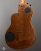 Rick Turner RS-6 Renaissance Steel USED - Back Angle 