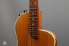 Rick Turner RS-6 Renaissance Steel USED - Frets 