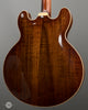 Eastman Electric Guitars - T-186 Semi-Hollow - W/Hardshell Case - Used - Back Angle