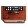 Taylor Guitars - Circa 74 Acoustic Amp - AV150-10 - Controls