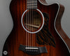 Taylor Acoustic Guitars - Next Generation 324ce - Details 