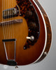 Bruce Guitars -  The Jayne Deluxe - Controls