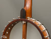 Bart Reiter Banjo - 11" Buckbee - Used - Heel