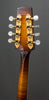 Flatiron Mandolins - 1992 A5 Artist Used - Tuners