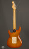 Don Grosh Guitars - Retro Classic - 2006 Honey Burst - Used - Back