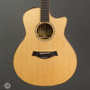 Taylor Guitars - 2008 Cocobolo GS Fall Limited - Used - Front Close