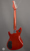 Don Grosh Guitars - 2009 ElectraJet Special - Vintage Cherry - Used - Back