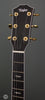 Taylor Guitars - 2013 T5C3 Cocobolo - Used - Headstock