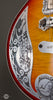 Teye Guitars  - 2015 Coyote Used - Details