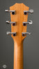 Taylor Acoustic Guitars - 214ce - Tuners