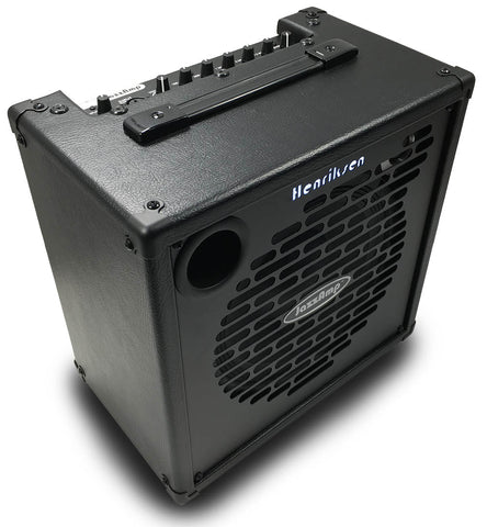 Henriksen Amps - JazzAmp 310