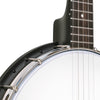 Gold Tone Banjos - AC-1 11" Open Back