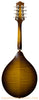 Bayard A Style Mandolin - back