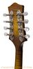 Bayard A Style Mandolin - tuners