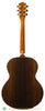 Avalon A200 Acoustic Guitar - back