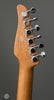 Tom Anderson Electric Guitars - Cobra T Special - Honey Burst