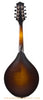 Collings MTGT Mando Black - back