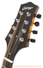 Collings MTGT Mando Black - front headstock