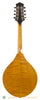 Collings MTGT Amber mandolin - back