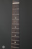 Iris Guitars - DE-11 -  Dan Erlewine Model - Frets