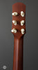 Iris Guitars - DE-11 -  Dan Erlewine Model - Tuners