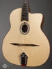 Eastman Acoustic Guitars - DM1 - Angle