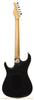 Zion E-Series Standard Stratocaster - back