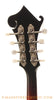 Weber Yellowstone F-Style Mandolin - tuners