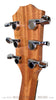 Taylor GS Mini-e Mahogany 2013 LTD - Head Back