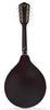 Gretsch G9320 Mandolin New Yorker Deluxe - back