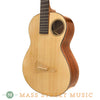 Herb Taylor 2008 Non-Traditional Classical Guitar - angle