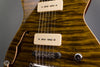 Don Grosh Electric Guitars - 2004 Hollow T Custom - Tiger Eye - Bridge