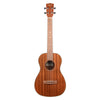 Kala Ukuleles - KA-BG Baritone Uke