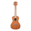Kala Ukuleles - KA-CG Gloss Concert Uke