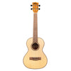 Kala Ukuleles - KA-FMTG Flame Maple - Tenor Gloss Uke