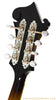 Kentucky KM-1000B F Mandolin - tuners