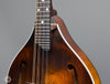 Eastman Mandolins - MD305 with K&K Pickup - Frets