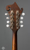 Eastman Mandolins - MD315 with K&K Pickup - Tuners