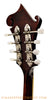 Eastman MD515 Mandolin - tuners