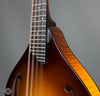 Collings Mandolins - MT GT - Sunburst - Frets